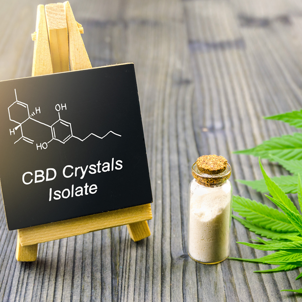 What are Isolates in CBD Oil for Horses?
