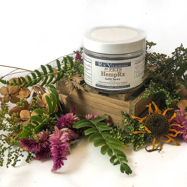 Hemp Rx Soft Chewz Doc s Hemp