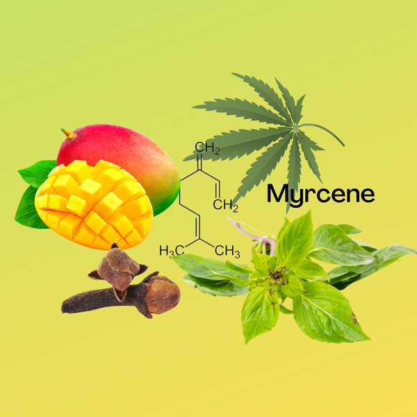 Terepene of the Week-Myrcene