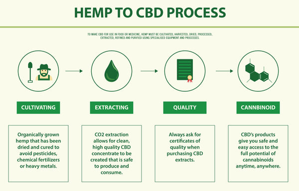What Makes for the Best CBD Oil For Horses?