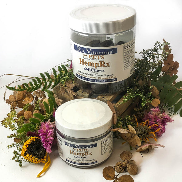 Hemp Rx Soft Chewz Doc s Hemp